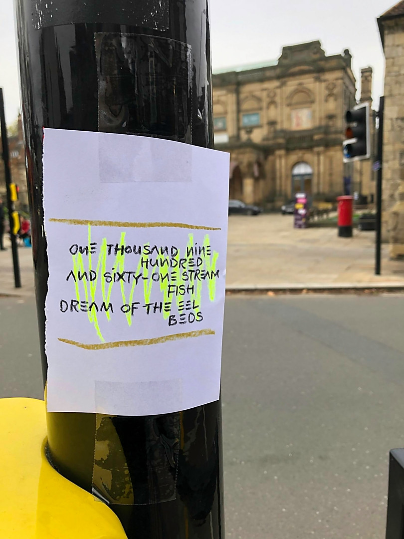 Dream of the Eel Beds (Non-vandalised words!)