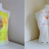 torso front and back