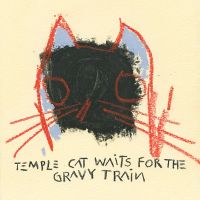 temple cat